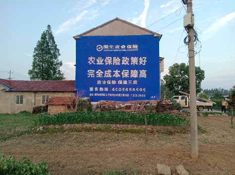 长武墙体广告为何受追捧？